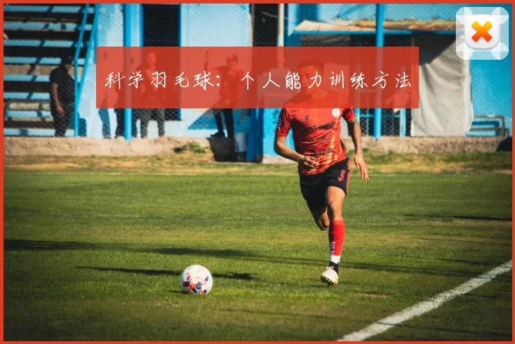 科学羽毛球：个人能力训练方法