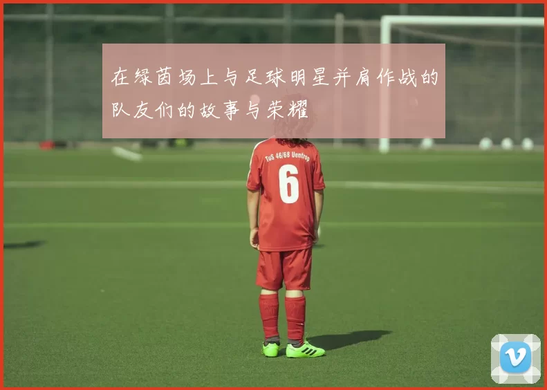 在绿茵场上与足球明星并肩作战的队友们的故事与荣耀