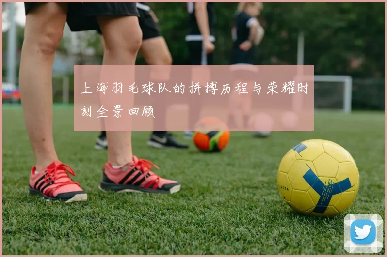 上海羽毛球队的拼搏历程与荣耀时刻全景回顾