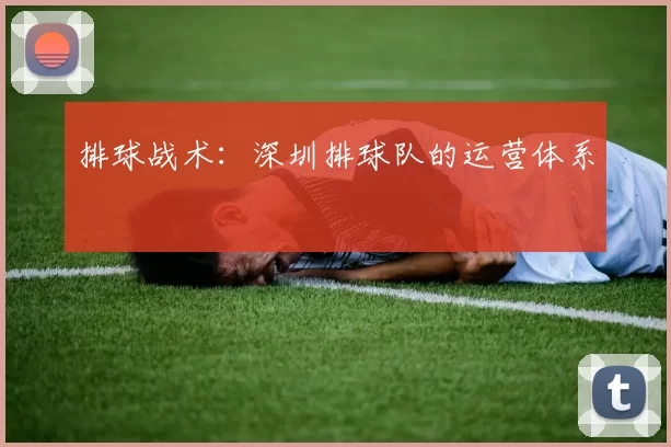 排球战术：深圳排球队的运营体系